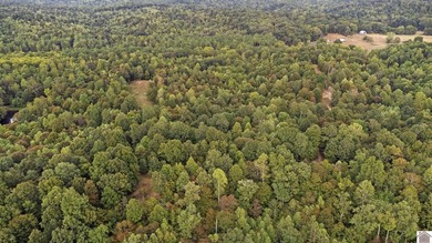 45 ACRES OF PRIME HUNTING LAND NEAR LAKE BARKLEY! Discover the - photo 6