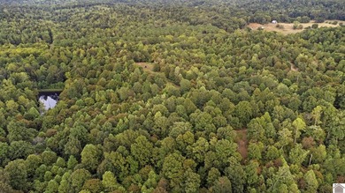 45 ACRES OF PRIME HUNTING LAND NEAR LAKE BARKLEY! Discover the - photo 7