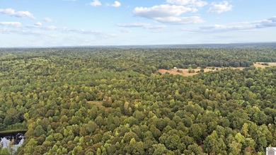 45 ACRES OF PRIME HUNTING LAND NEAR LAKE BARKLEY! Discover the - photo 8