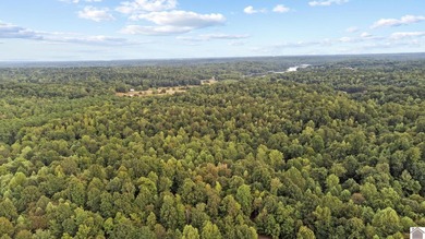 45 ACRES OF PRIME HUNTING LAND NEAR LAKE BARKLEY! Discover the - photo 9