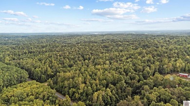 45 ACRES OF PRIME HUNTING LAND NEAR LAKE BARKLEY! Discover the - photo 10