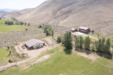 Lake Home For Sale in Challis, Idaho