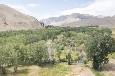 A timeless haven crafted for you and the horses you love - photo 6