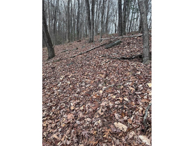 Welcome to Wilkerson Court Lot #16. Located in sought after - photo 11