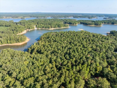 Strom Thurmond / Clarks Hill Lake Home For Sale in Appling Georgia