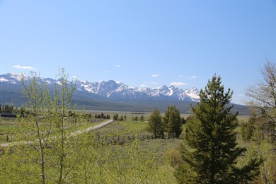 Fabulous and unique over 19 acre parcel off of Fisher Creek Road - photo 2