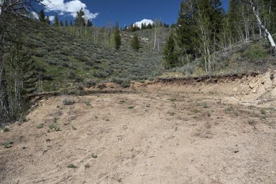 Fabulous and unique over 19 acre parcel off of Fisher Creek Road - photo 4