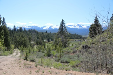 Fabulous and unique over 19 acre parcel off of Fisher Creek Road - photo 6