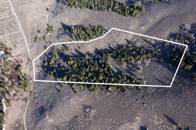Fabulous and unique over 19 acre parcel off of Fisher Creek Road - photo 7