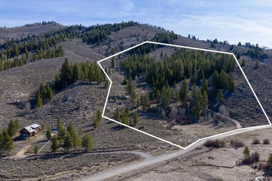 Fabulous and unique over 19 acre parcel off of Fisher Creek Road - photo 9