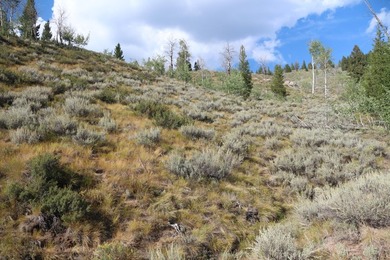 Fabulous and unique over 19 acre parcel off of Fisher Creek Road - photo 10