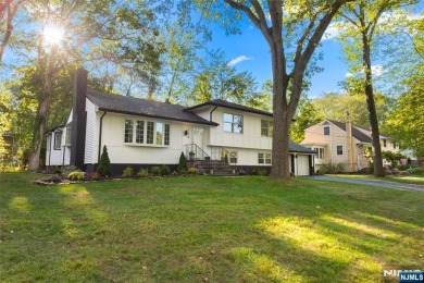 Lake Home For Sale in Wayne, New Jersey