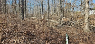 Lake Lot For Sale in Buchanan, Tennessee