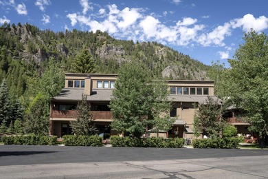 Big Wood River Condo For Sale in Ketchum Idaho