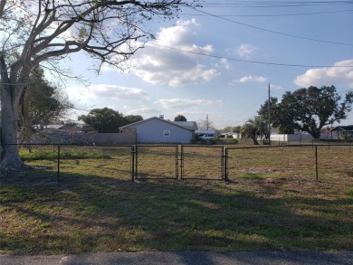 Lake Lot For Sale in Lake Wales, Florida