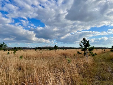Build your dream home on over a thousand acres of beautiful - photo 4