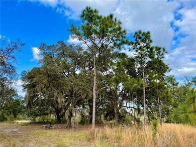 Build your dream home on over a thousand acres of beautiful - photo 5