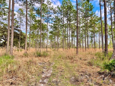 Build your dream home on over a thousand acres of beautiful - photo 6