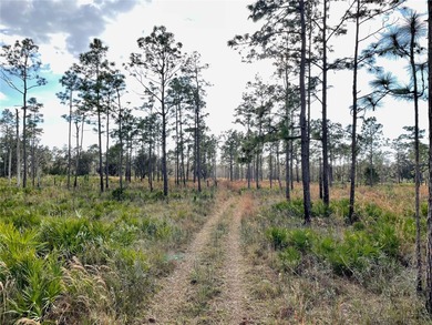 Build your dream home on over a thousand acres of beautiful - photo 7