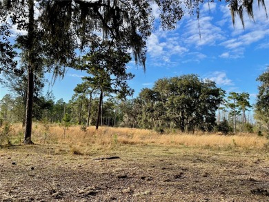 Build your dream home on over a thousand acres of beautiful - photo 8