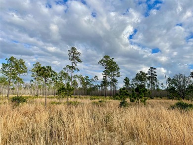 Build your dream home on over a thousand acres of beautiful - photo 10