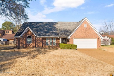 Bridgetown Lake Home Sale Pending in Nesbit Mississippi