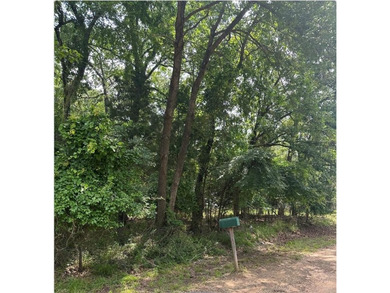 Cedar Creek Lake Lot For Sale in Mabank Texas