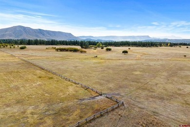 John M Wells, Wells Group Real Estate, C:,,: Welcome to Circle F - photo 5