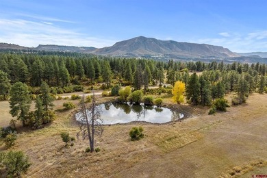 John M Wells, Wells Group Real Estate, C:,,: Welcome to Circle F - photo 6