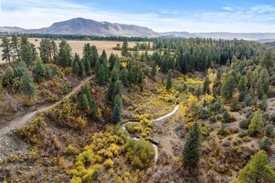 John M Wells, Wells Group Real Estate, C:,,: Welcome to Circle F - photo 7