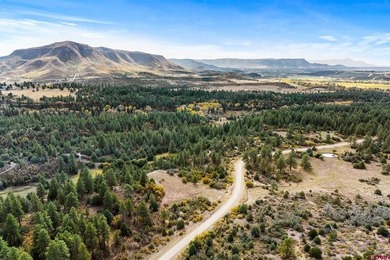 John M Wells, Wells Group Real Estate, C:,,: Welcome to Circle F - photo 8