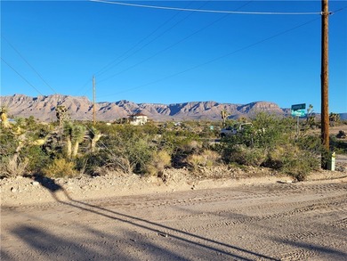 Lake Mead Lot For Sale in Meadview Arizona