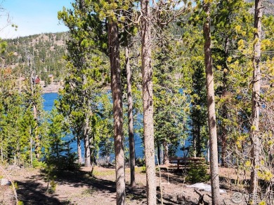 Panhandle Reservoir Lot For Sale in Red Feather Lakes Colorado