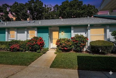 Lake Tarpon Home For Sale in Palm Harbor Florida