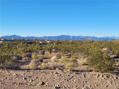 Lake Mead Lot For Sale in Meadview Arizona