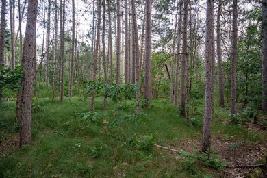 Wooded buildable lot with the access to Yellow River. Just over - photo 14