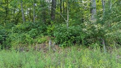 Some properties invite you to slow down and this is one of them! - photo 16