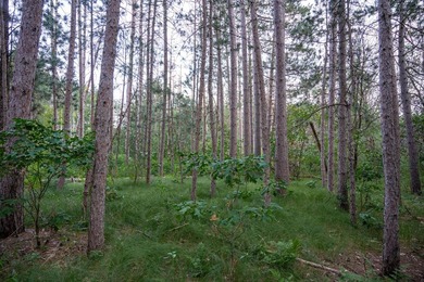 Wooded buildable lot with the access to Yellow River. Just over - photo 17