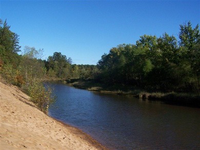 Wooded buildable lot with the access to Yellow River. Just over - photo 20