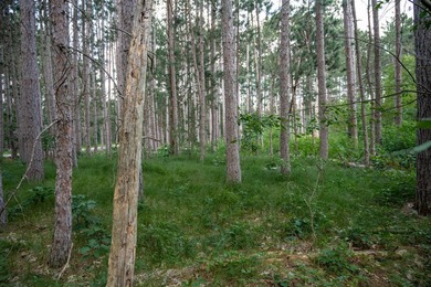 Wooded buildable lot with the access to Yellow River. Just over - photo 21