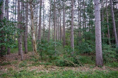 Wooded buildable lot with the access to Yellow River. Just over - photo 22