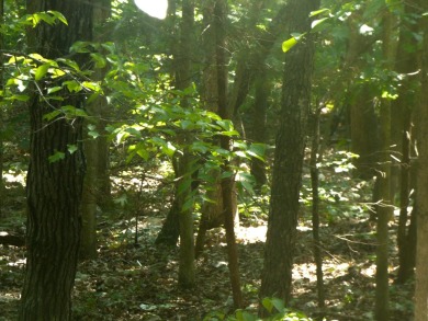 Two Lots in a Cul De Sac with Lake Omaha Views - These lots - photo 3