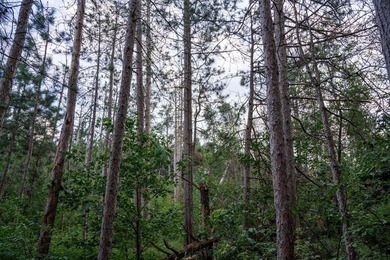 Wooded buildable lot with the access to Yellow River. Just over - photo 23