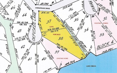 Two Lots in a Cul De Sac with Lake Omaha Views - These lots - photo 4