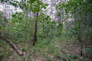 Wooded buildable lot with the access to Yellow River. Just over - photo 24