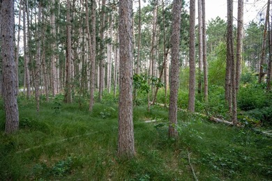 Wooded buildable lot with the access to Yellow River. Just over - photo 25