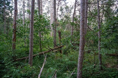 Wooded buildable lot with the access to Yellow River. Just over - photo 26