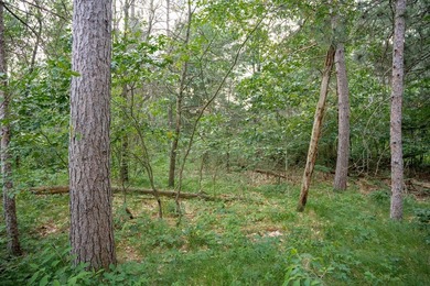 Wooded buildable lot with the access to Yellow River. Just over - photo 27