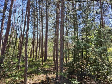Wooded buildable lot with the access to Yellow River. Just over - photo 28