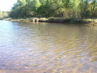 Wooded buildable lot with the access to Yellow River. Just over - photo 30